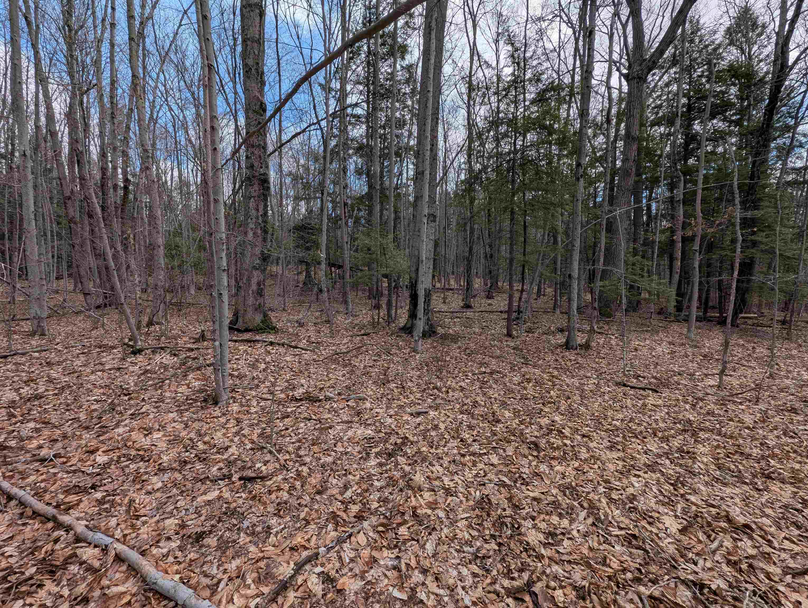 21 Jewett Road Weare, NH 03281 - Photo 1 of 18 Gallery Image 1