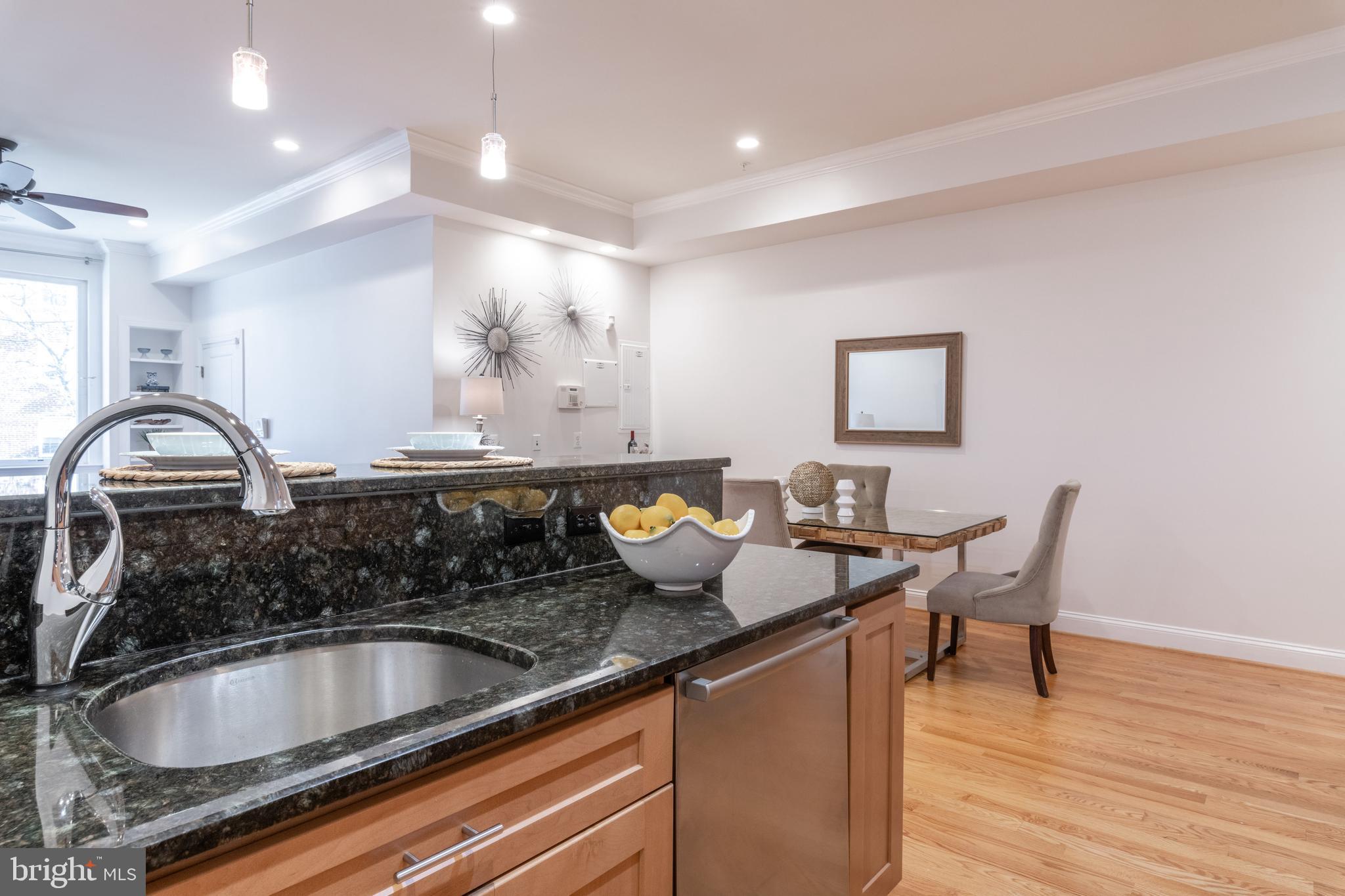 2450 Ontario Road Northwest, Unit 2 Washington, DC 20009 - Photo 10 of 28 Deep & Large Sink