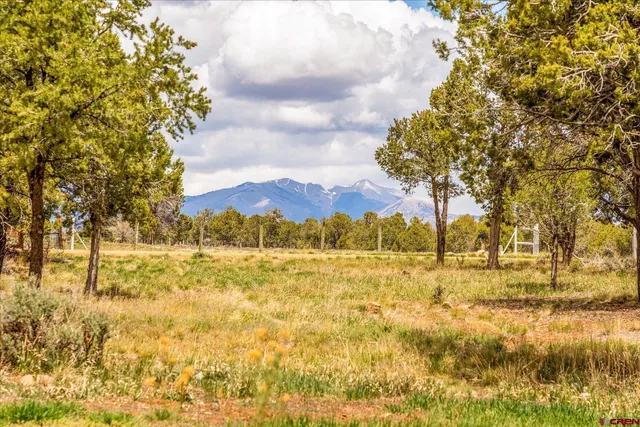 a view of an outdoor space and a yard