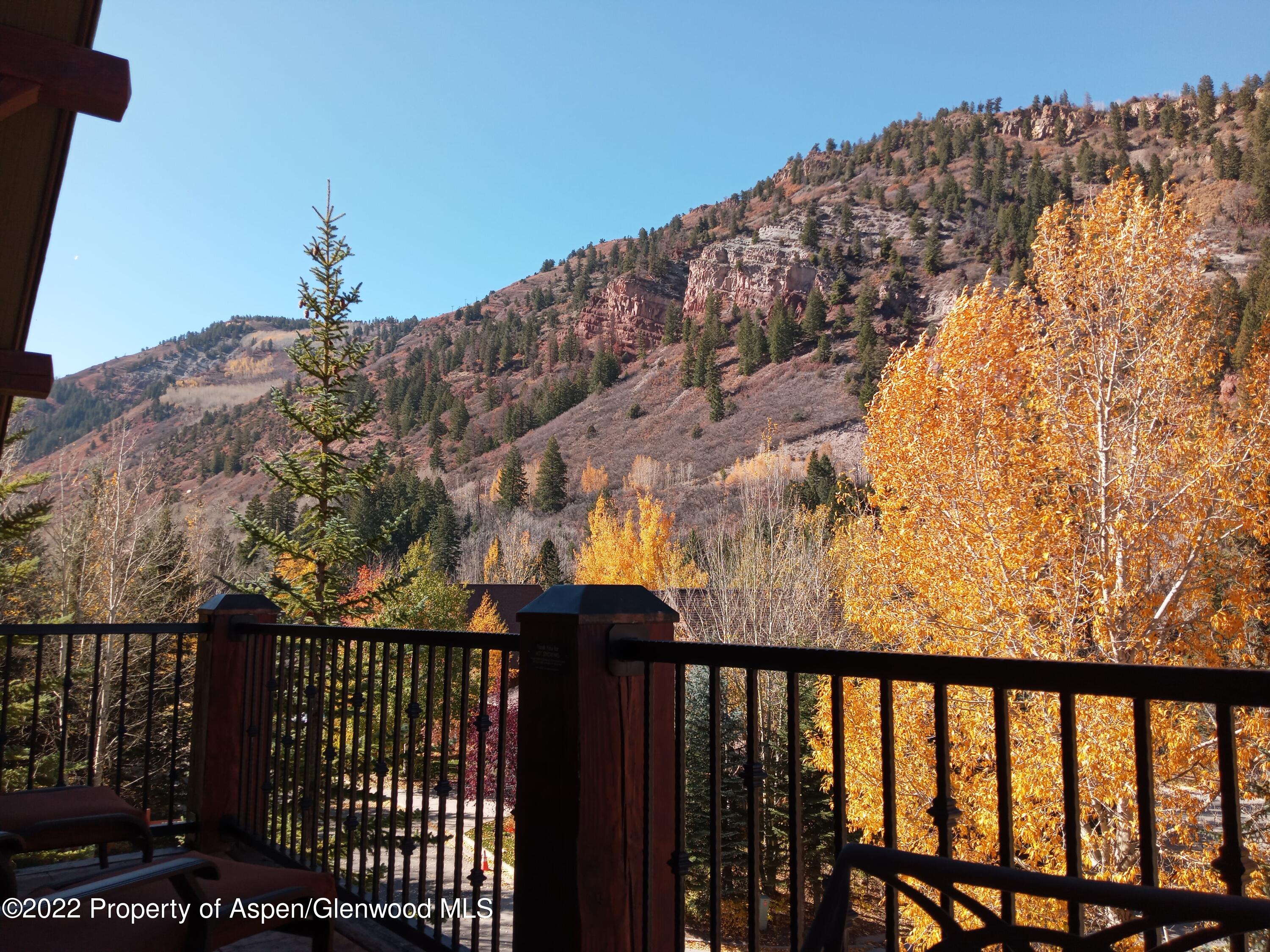 39 Boomerang Road, Unit 8216 SUMMER INTEREST 8 Aspen, CO 81611 - Photo 22 of 27 20221021_134513
