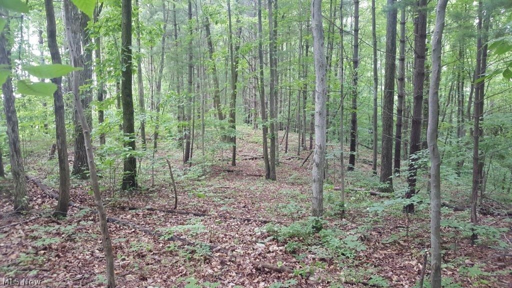 5846 Holmes Church Road Northeast New Philadelphia, OH 44663 - Photo 15 of 34