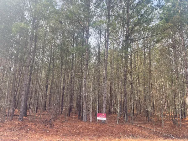 $11,900 | 125 Roper Circle, Orangeburg, SC 29115