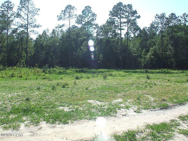 2835 Beall Packing Road Bonifay, FL 32425 - Photo 47 of 48 Gallery Image 47