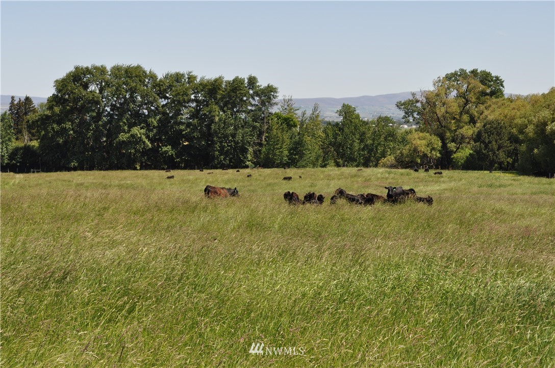 5000-xx Weaver Road Ellensburg, WA 98926 - Photo 2 of 5 Gallery Image 2