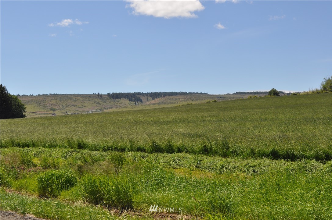 5000-xx Weaver Road Ellensburg, WA 98926 - Photo 3 of 5 Gallery Image 3