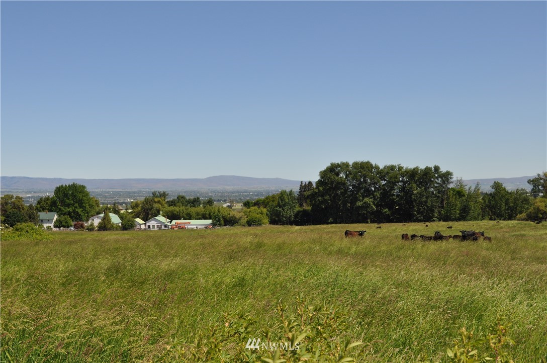 5000-xx Weaver Road Ellensburg, WA 98926 - Photo 4 of 5 Gallery Image 4