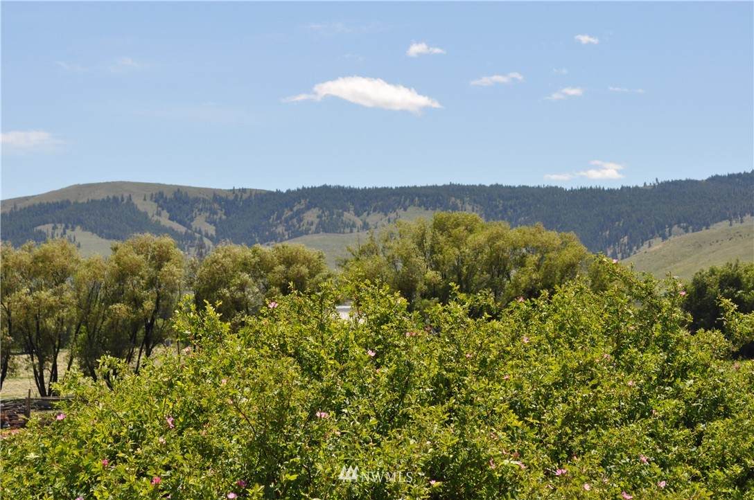 5000-xx Weaver Road Ellensburg, WA 98926 - Photo 5 of 5 Gallery Image 5