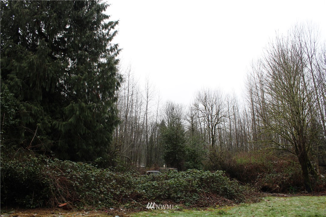 15414 Southeast Jones Road Renton, WA 98058 - Photo 3 of 29 Gallery Image 3