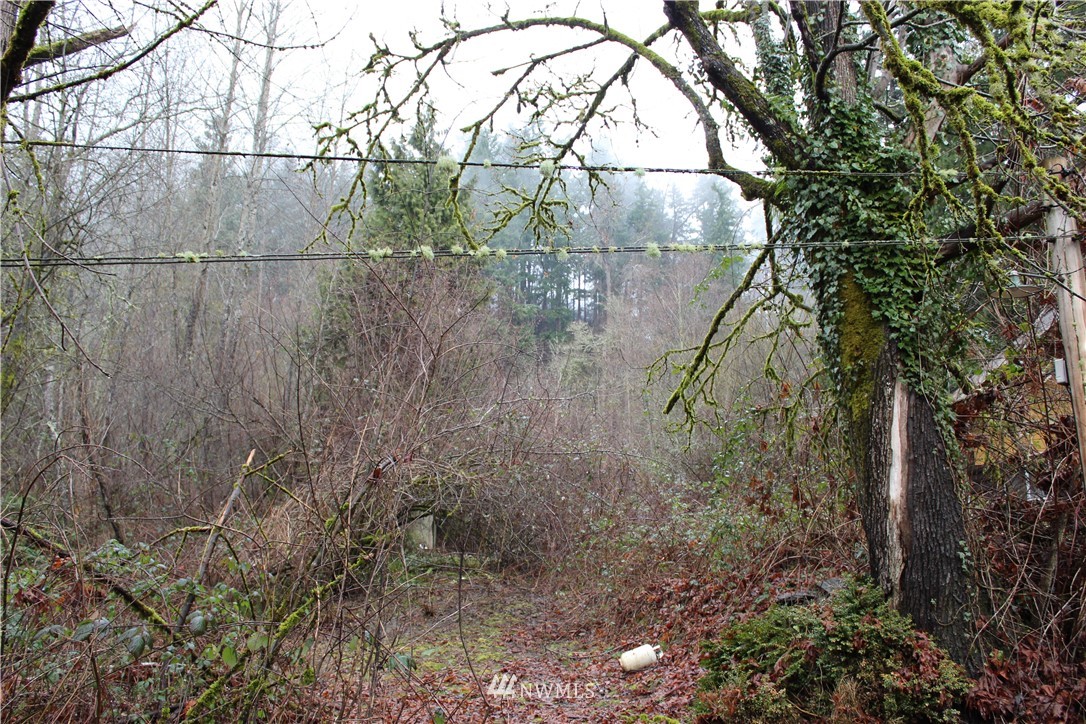 15414 Southeast Jones Road Renton, WA 98058 - Photo 4 of 29 Gallery Image 4