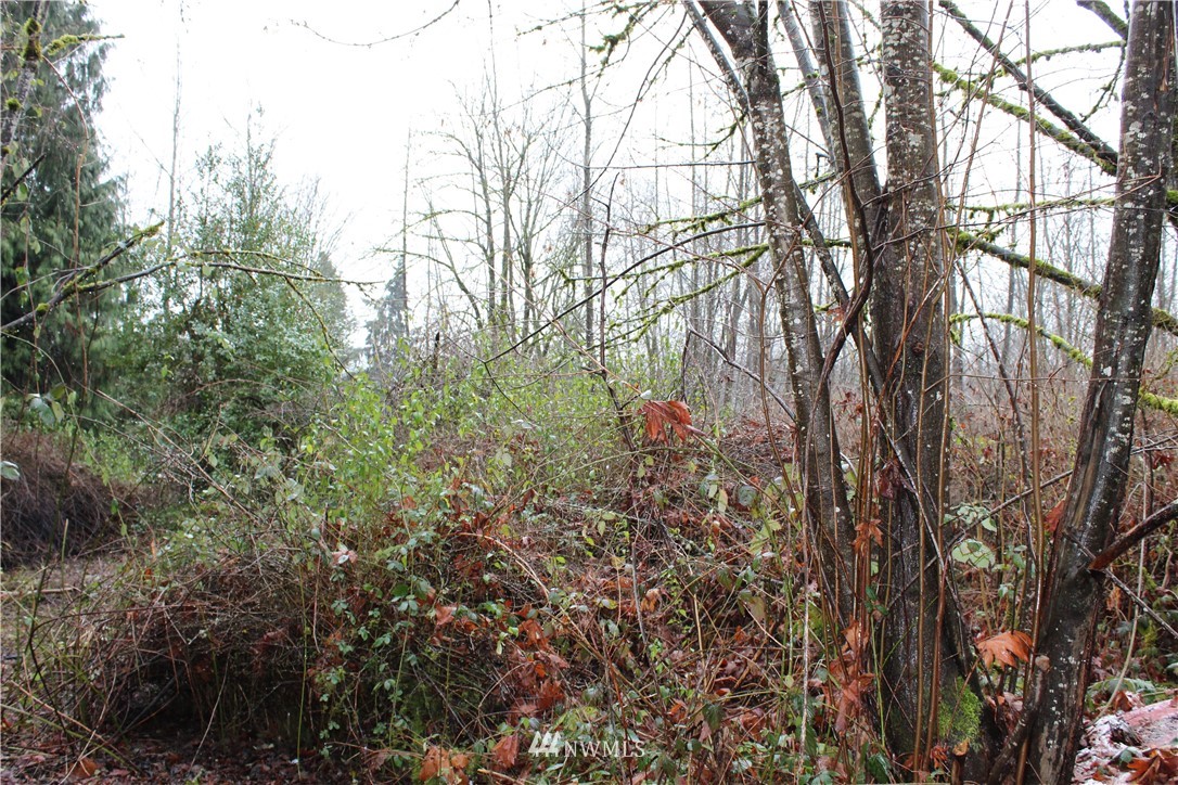 15414 Southeast Jones Road Renton, WA 98058 - Photo 5 of 29 Gallery Image 5