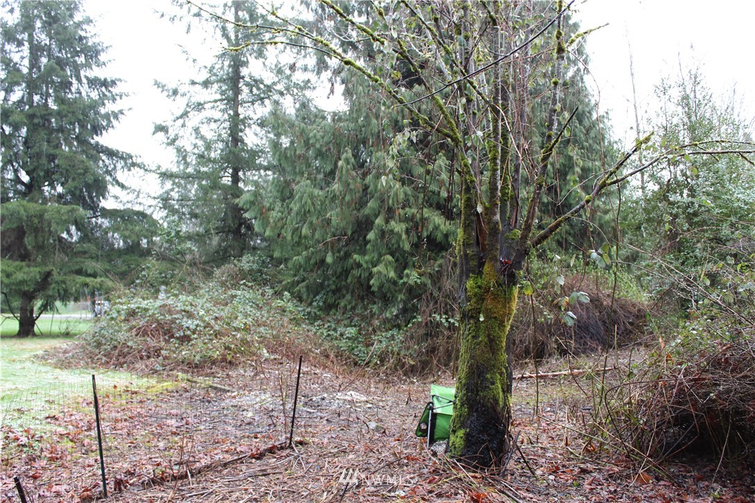 15414 Southeast Jones Road Renton, WA 98058 - Photo 7 of 29 Gallery Image 7