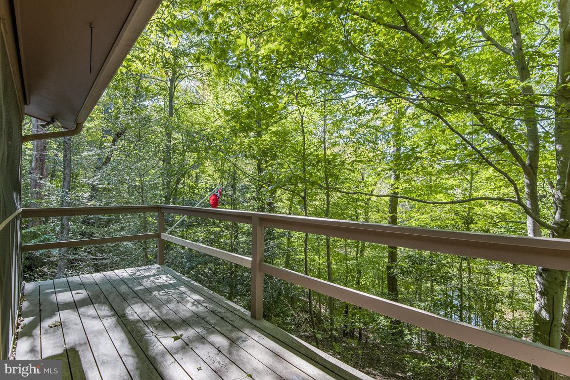 502 Epping Forest Road Annapolis, MD 21401 - Photo 35 of 76 Gallery Image 35