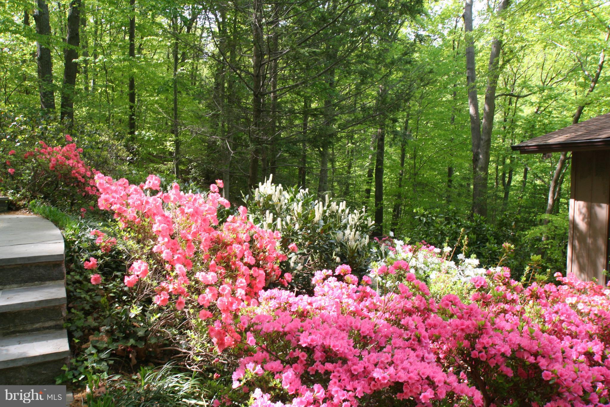 502 Epping Forest Road Annapolis, MD 21401 - Photo 39 of 76 Spring time is blooming fun!