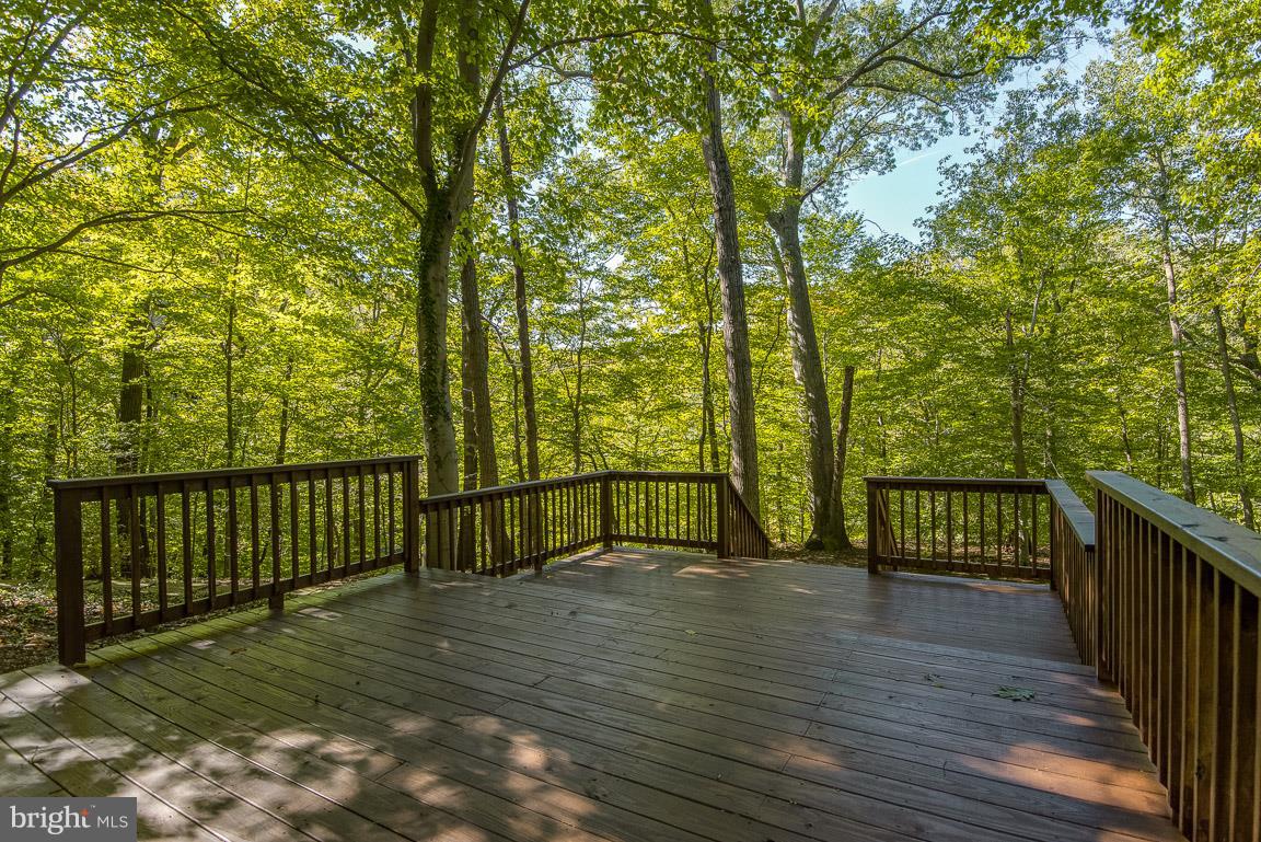 502 Epping Forest Road Annapolis, MD 21401 - Photo 42 of 76 Gallery Image 42