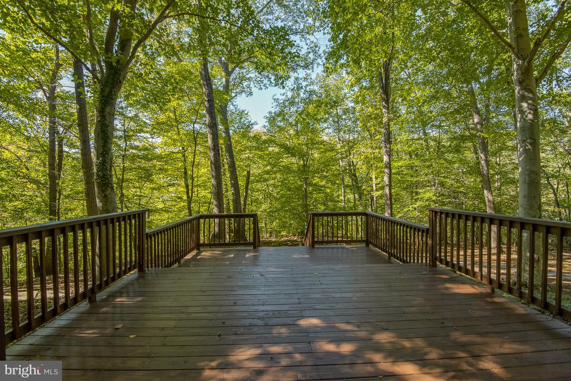 502 Epping Forest Road Annapolis, MD 21401 - Photo 43 of 76 Gallery Image 43