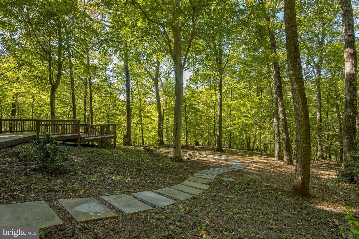 502 Epping Forest Road Annapolis, MD 21401 - Photo 44 of 76 Gallery Image 44