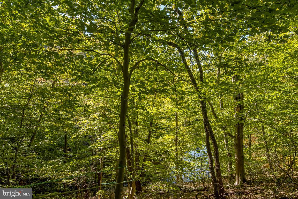 502 Epping Forest Road Annapolis, MD 21401 - Photo 48 of 76 Gallery Image 48