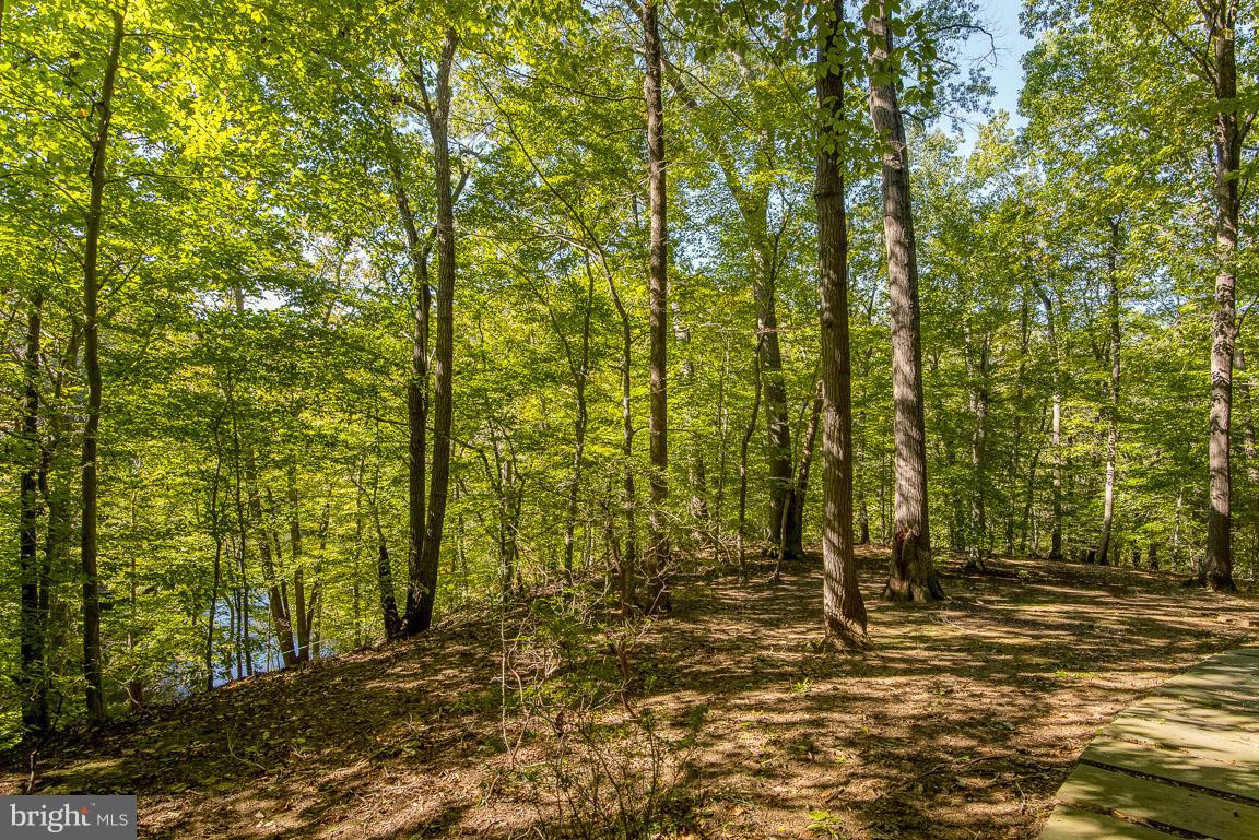 502 Epping Forest Road Annapolis, MD 21401 - Photo 49 of 76 Gallery Image 49