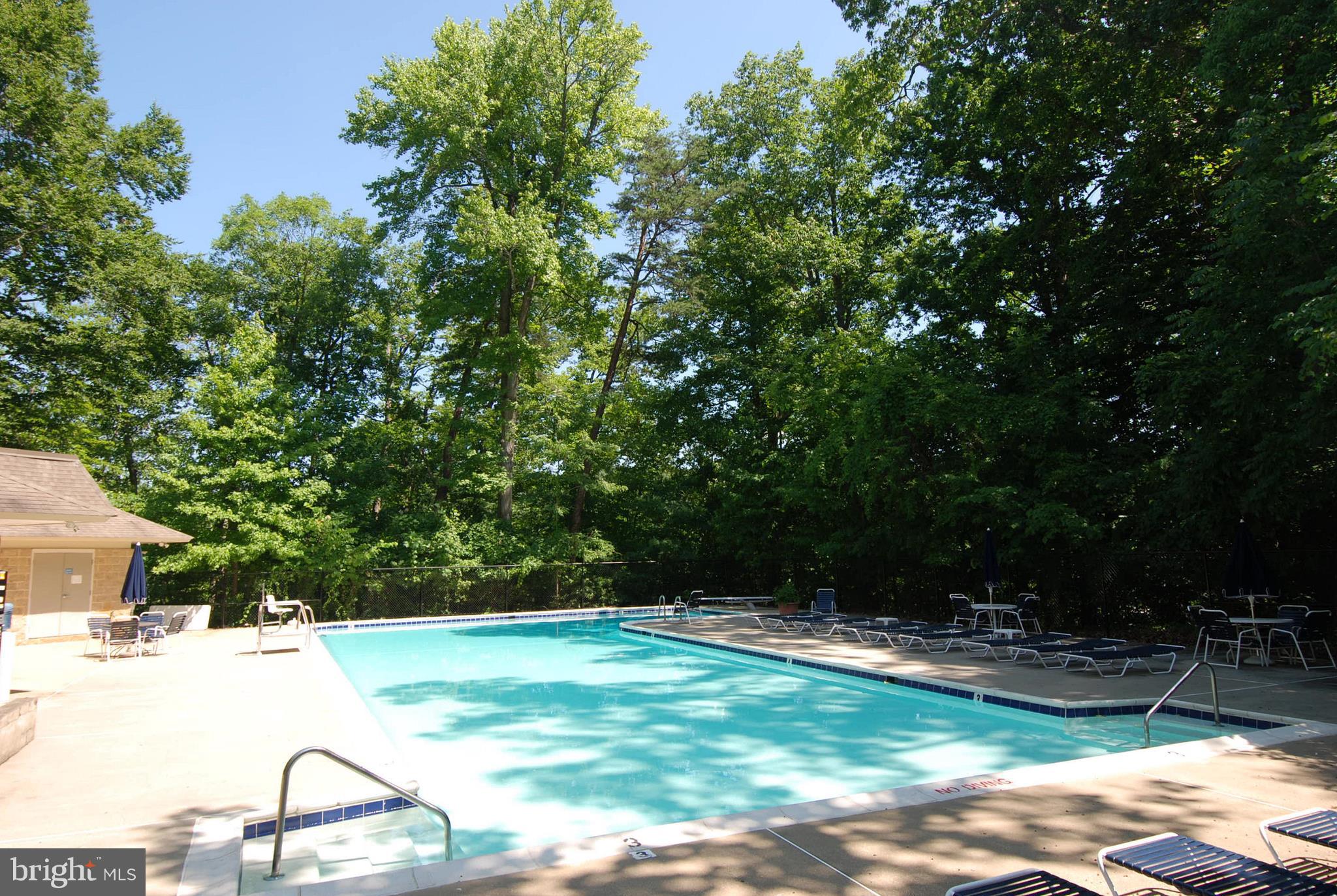 502 Epping Forest Road Annapolis, MD 21401 - Photo 60 of 76 Don't clean your own pool! Socialize here!