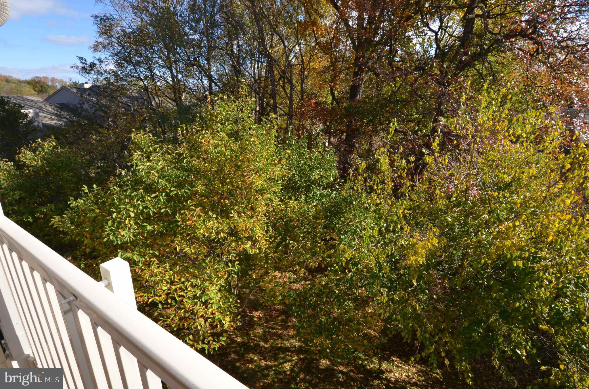 1793 Jonathan Way, Unit 1793L Reston, VA 20190 - Photo 31 of 38