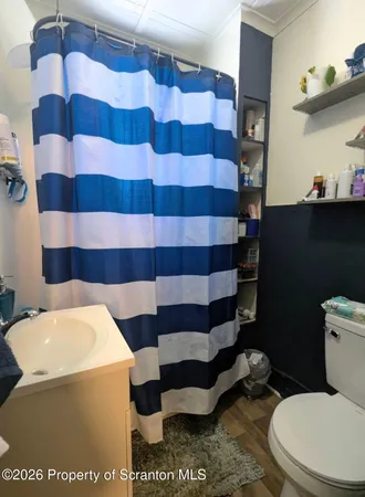 a bathroom with a sink a toilet and a shower curtain