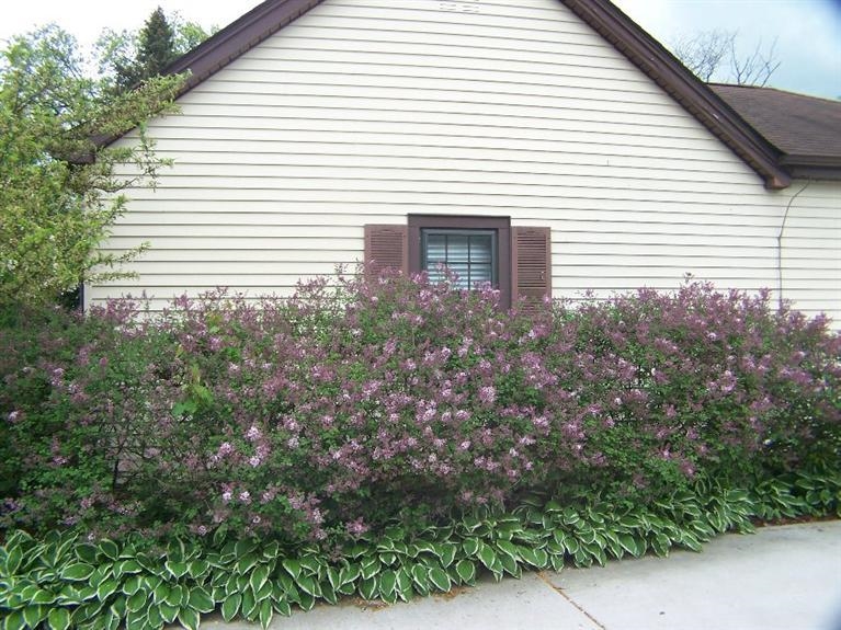 11520 Delaware Street Crown Point, IN 46307 - Photo 7 of 10 767x575