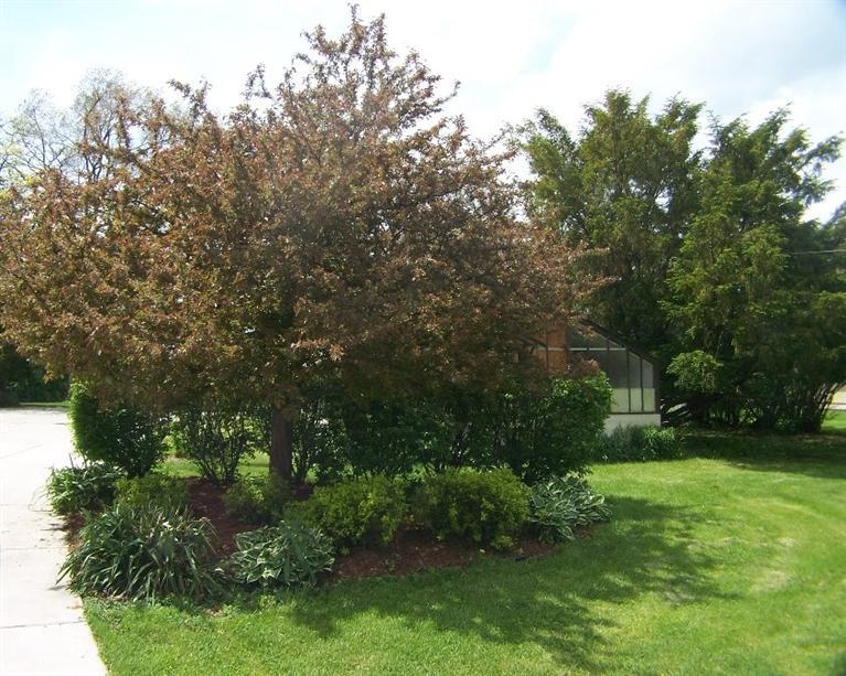 11520 Delaware Street Crown Point, IN 46307 - Photo 8 of 10 767x613