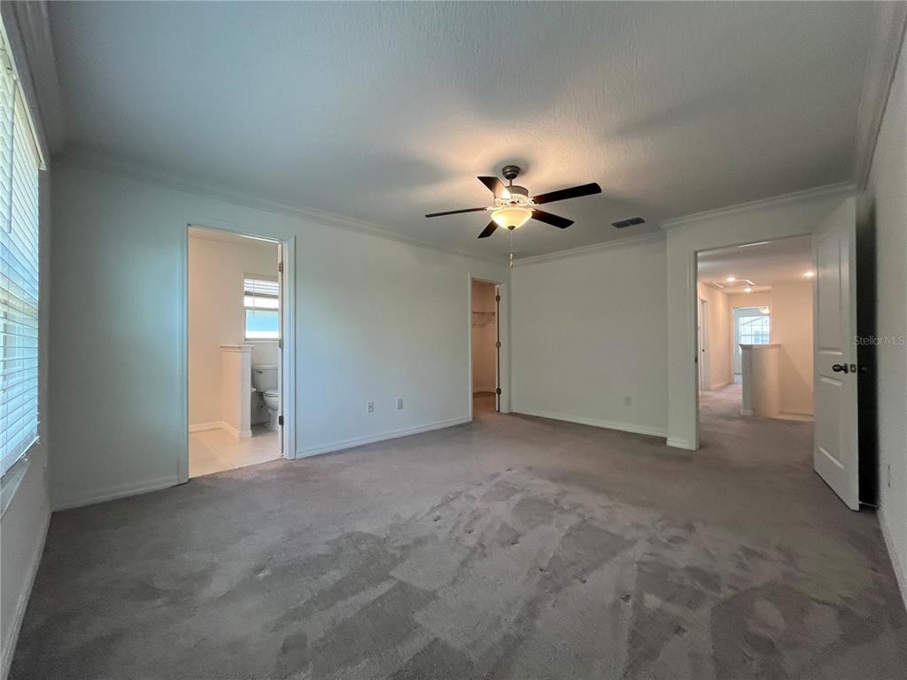 30813 Veridian Way Wesley Chapel, FL 33543 - Photo 14 of 26