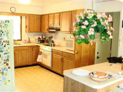 10153 East Atherton Road Davison, MI 48423 - Photo 9 of 14 20231718-8.JPG