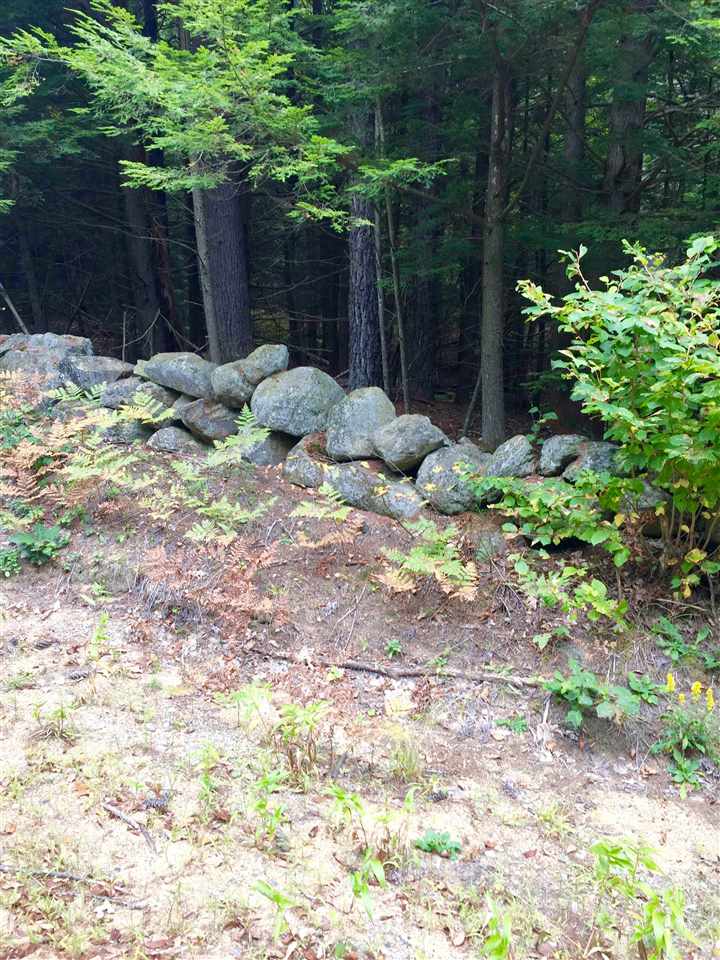Lower Ridge Road Loudon, NH 03307 - Photo 6 of 12