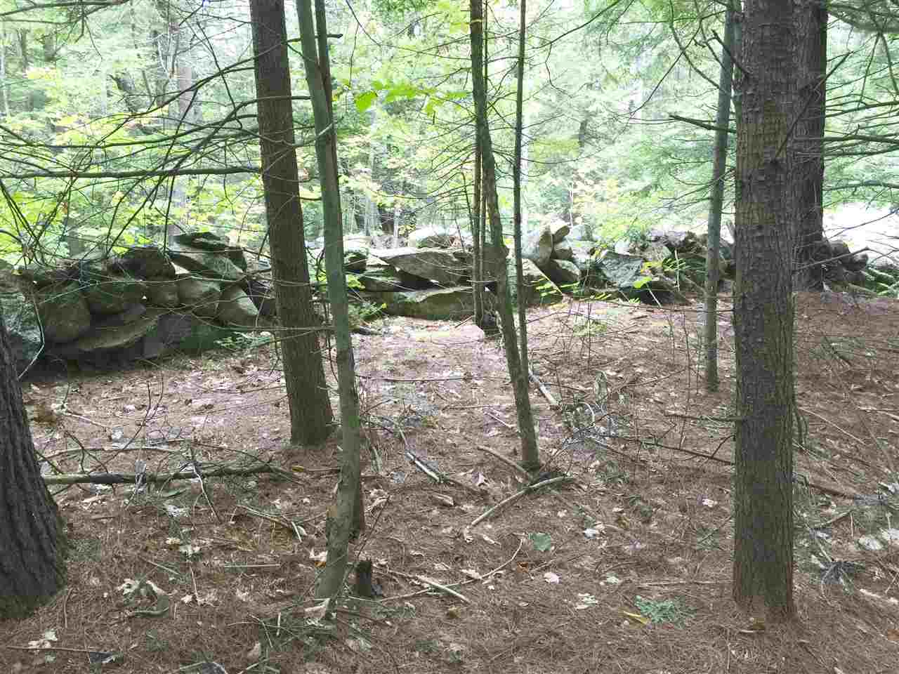 Lower Ridge Road Loudon, NH 03307 - Photo 7 of 12