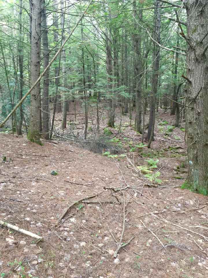 Lower Ridge Road Loudon, NH 03307 - Photo 8 of 12