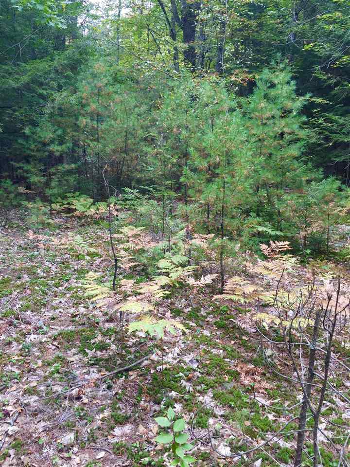 Lower Ridge Road Loudon, NH 03307 - Photo 10 of 12