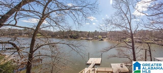 446 Coosa Island Road Cropwell, AL 35054 - Photo 43 of 44
