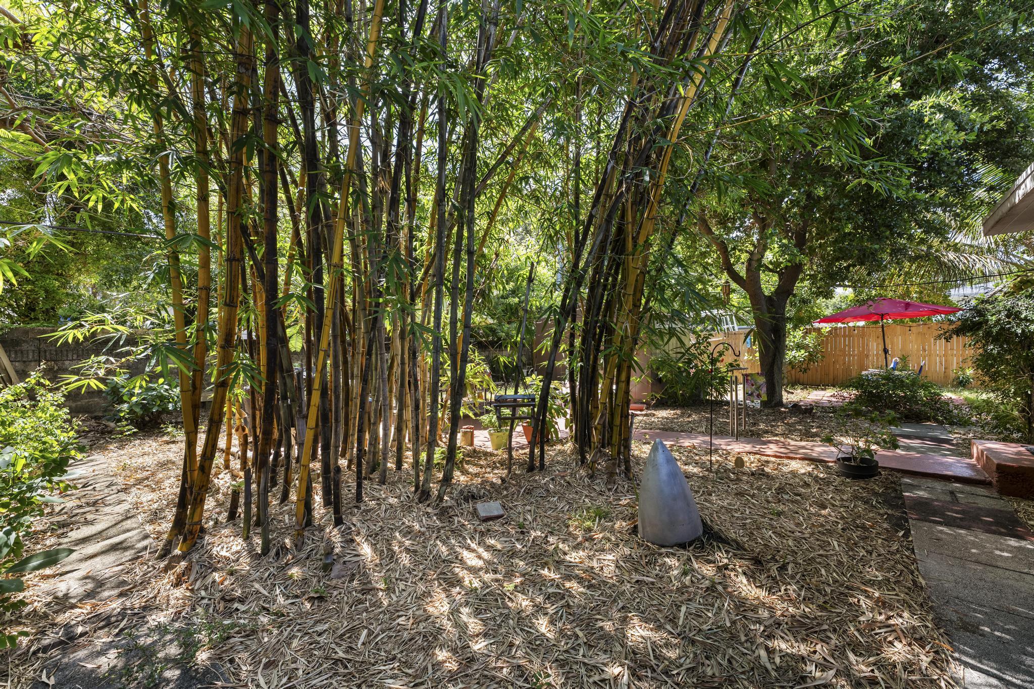 3032 Stanford Road West Palm Beach, FL 33405 - Photo 26 of 33 Backyard