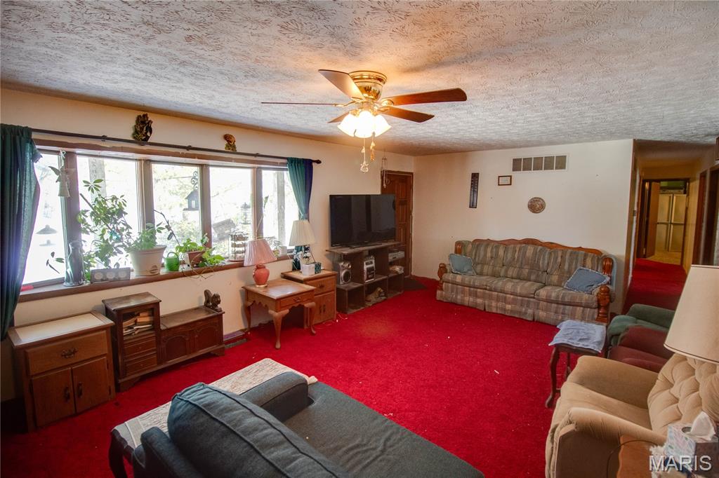 302 North Elm Street Medora, IL 62063 - Photo 16 of 44