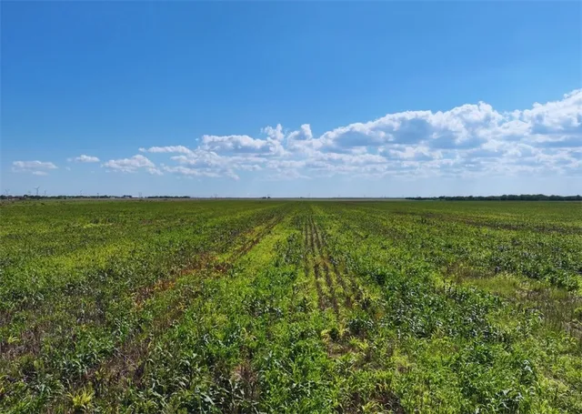 a view of a field with an ocean