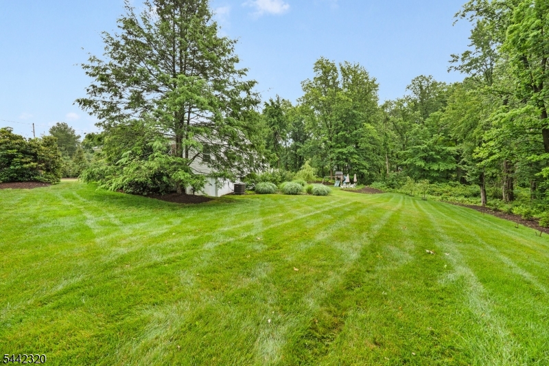 14 Calais Road Randolph, NJ 07869 - Photo 27 of 27