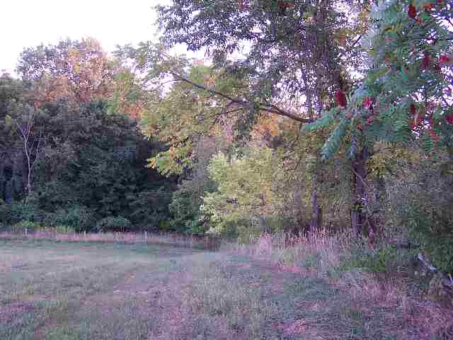 1 B Town Hall Road Metamora, IL 61548 - Photo 1 of 5