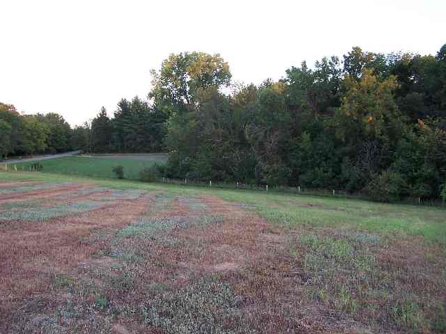 1 B Town Hall Road Metamora, IL 61548 - Photo 3 of 5