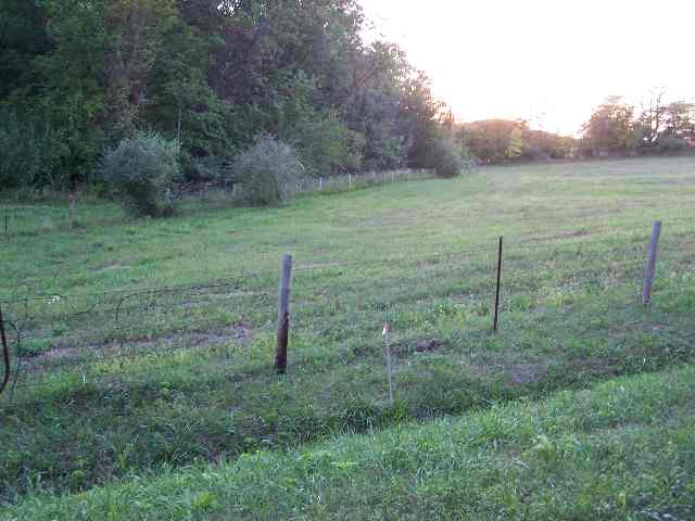 1 B Town Hall Road Metamora, IL 61548 - Photo 4 of 5