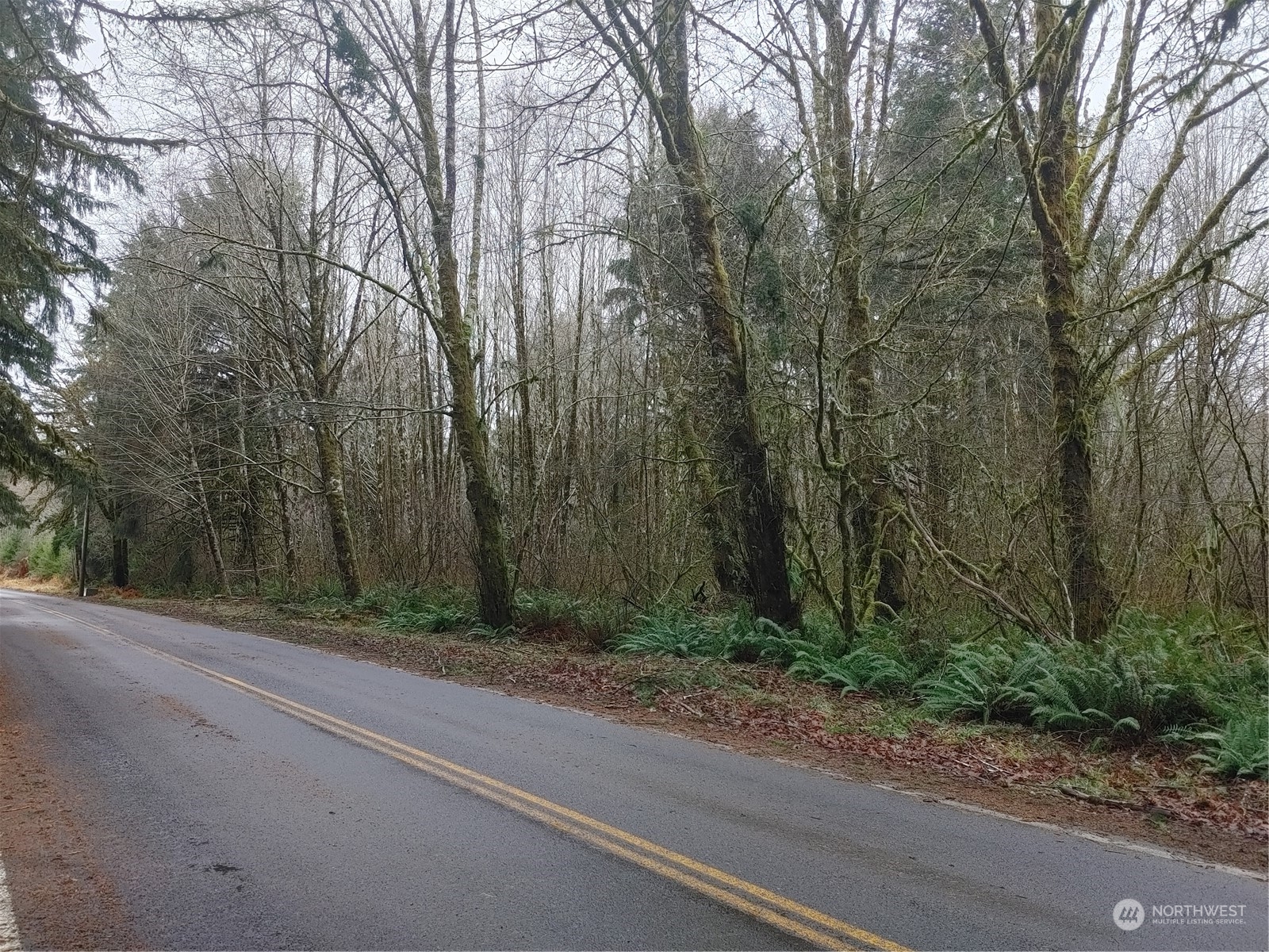 0 North River Road Cosmopolis, WA 98537 - Photo 2 of 3