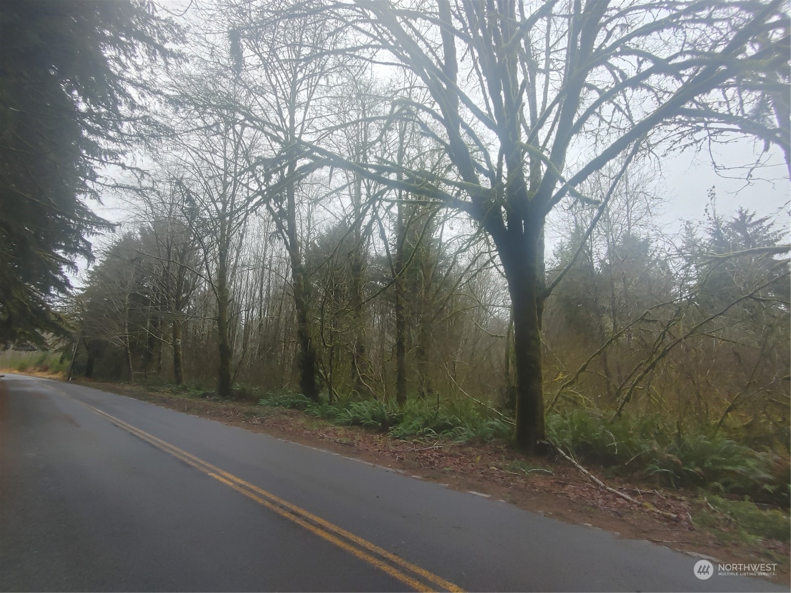 0 North River Road Cosmopolis, WA 98537 - Photo 3 of 3