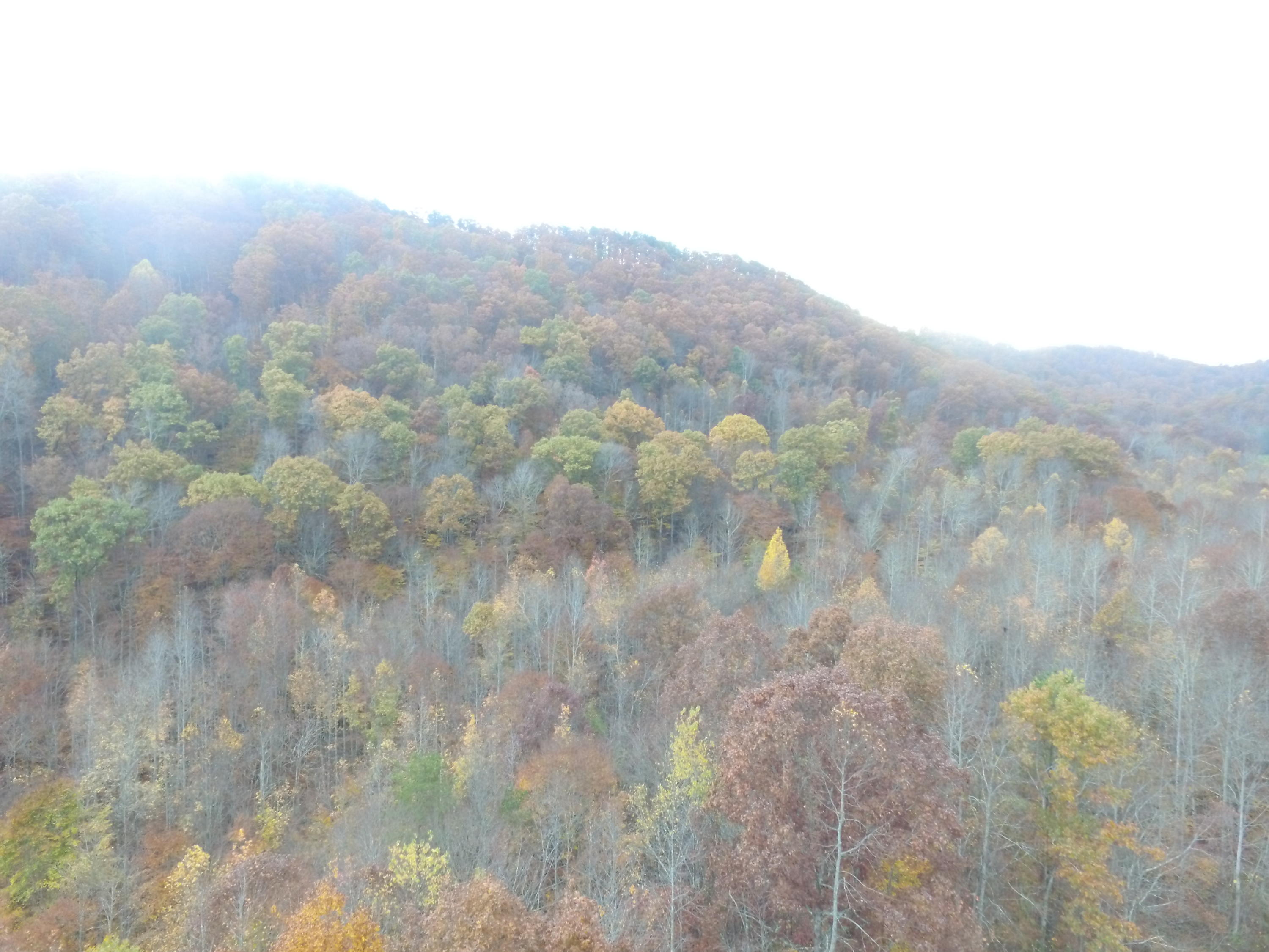 DJI_0064