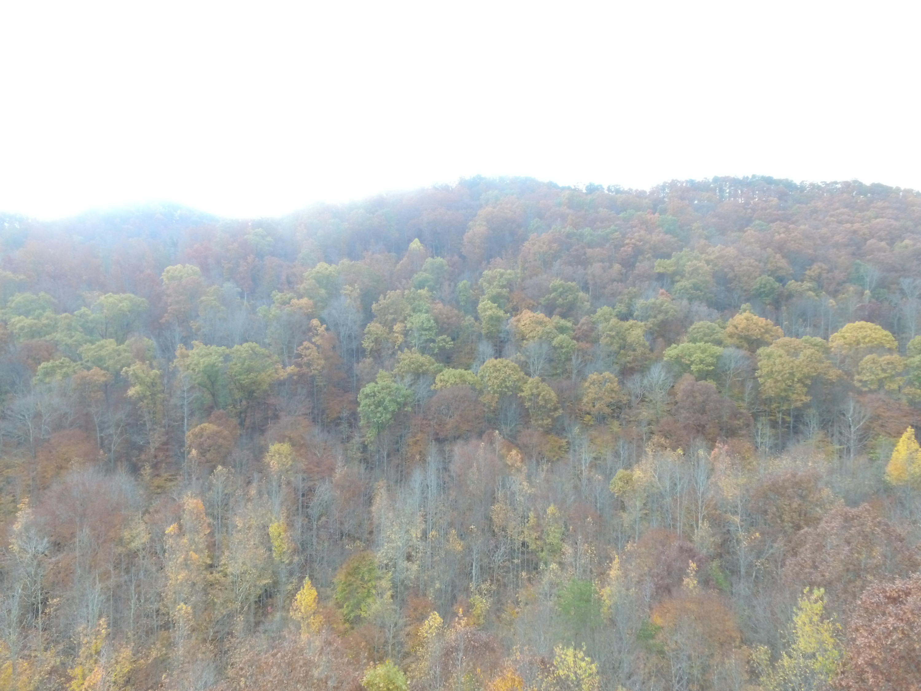 DJI_0063