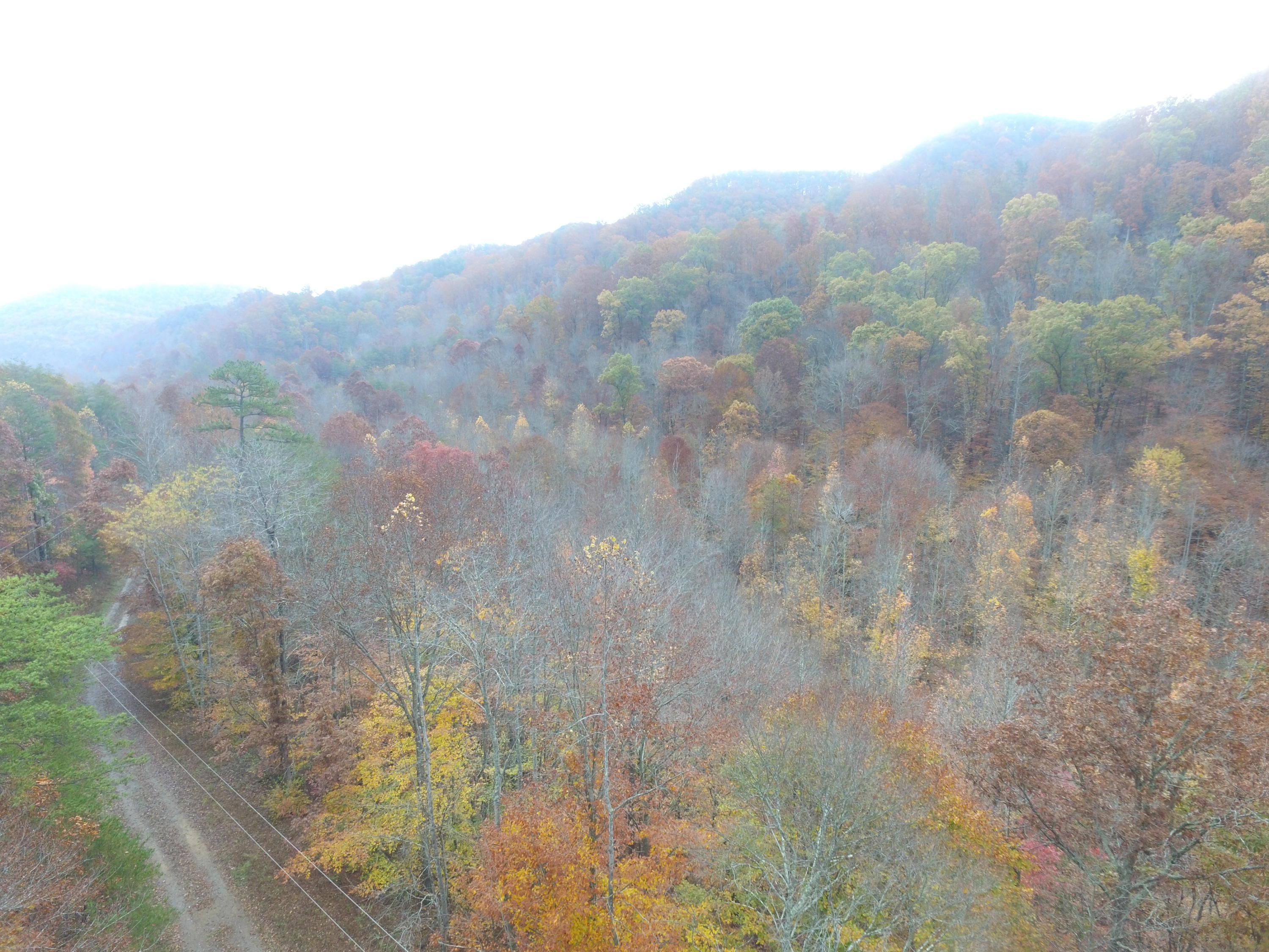 Lot 4 Steve Brown Road Bean Station, TN 37708 - Photo 14 of 15 DJI_0070