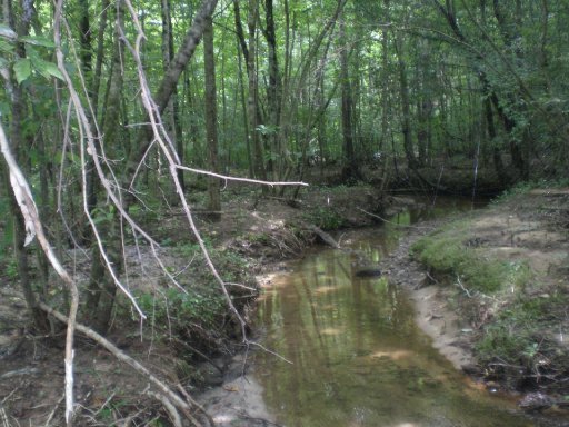 Lot 4 Steve Brown Road Bean Station, TN 37708 - Photo 15 of 15 Primary Photo