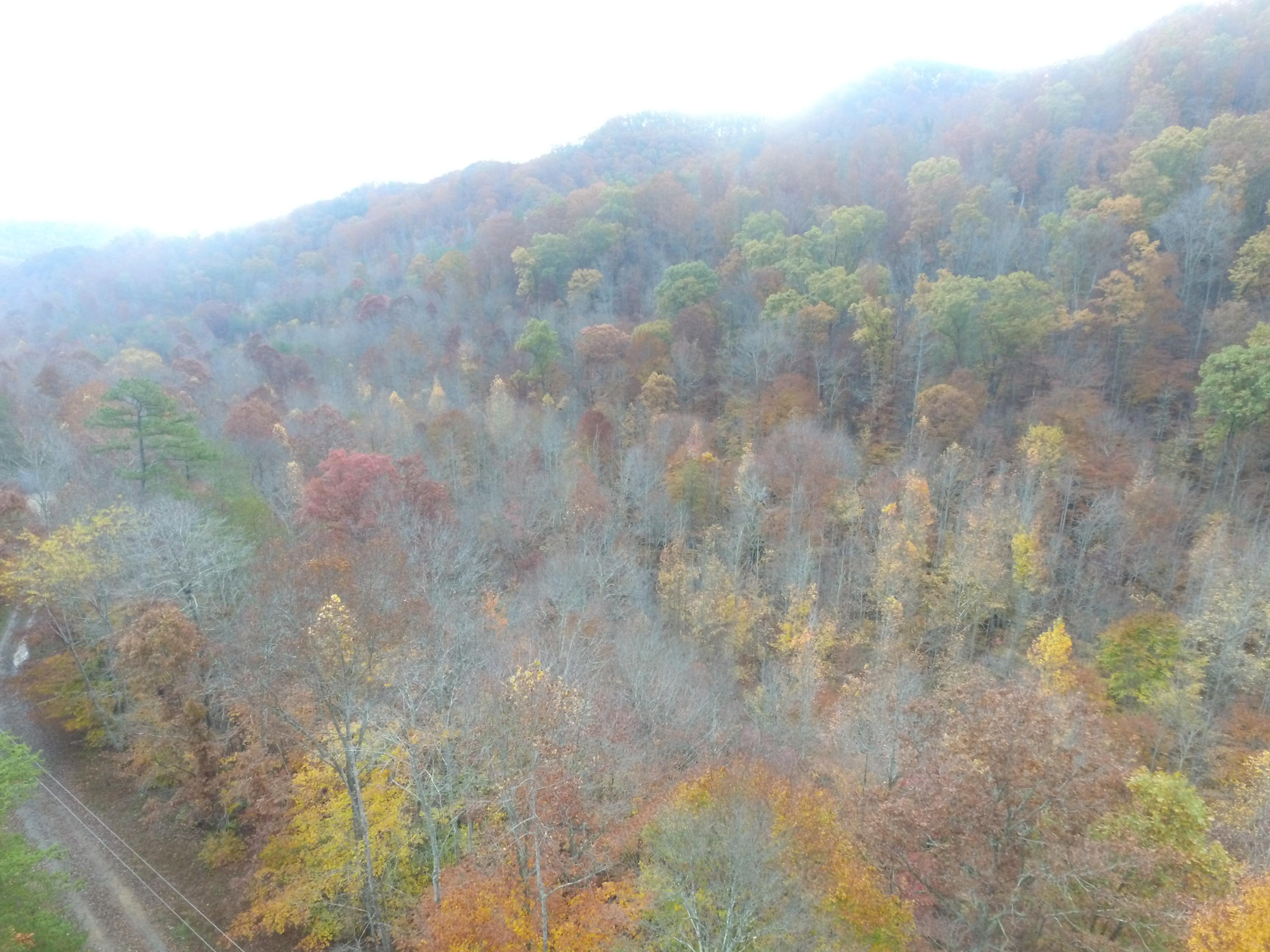 DJI_0065