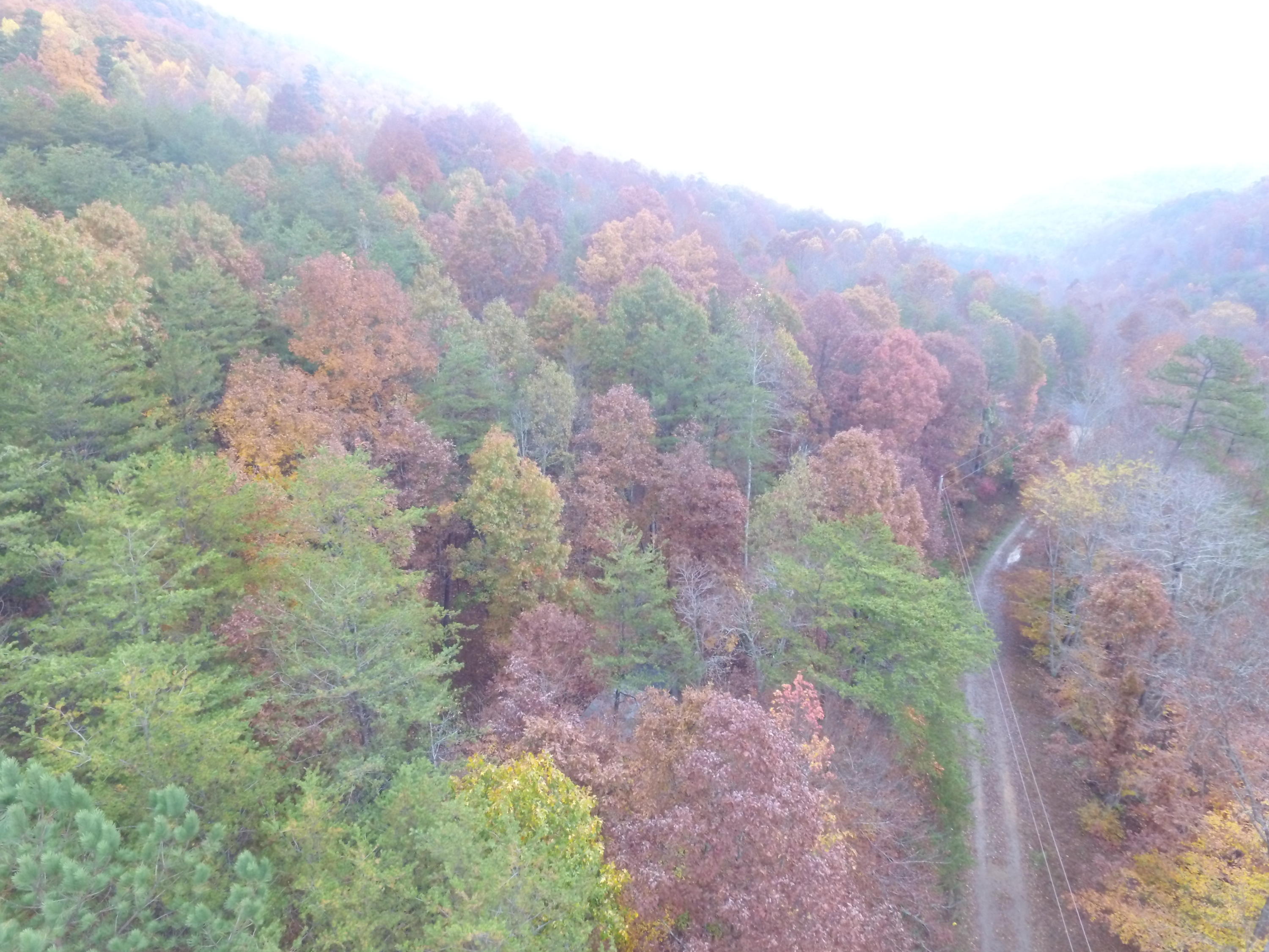 Lot 4 Steve Brown Road Bean Station, TN 37708 - Photo 9 of 15 DJI_0067
