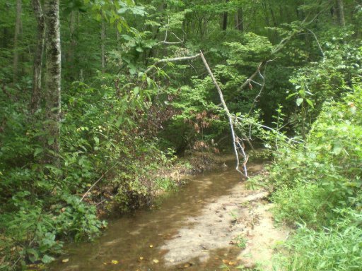 Lot 4 Steve Brown Road Bean Station, TN 37708 - Photo 10 of 15 Additional Photo